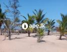 BEACHFRONT land next ARUGAM BAY